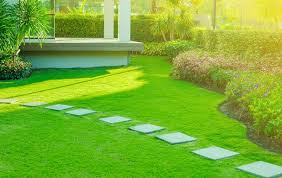 Beautiful Landscape Design Featuring Greenery and Hardscaping