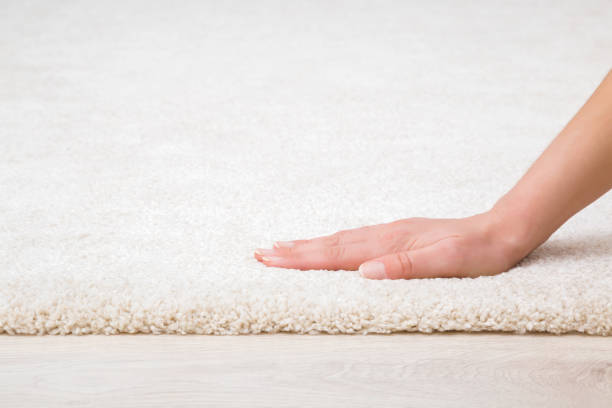 Modern Persian Rug for Living Room