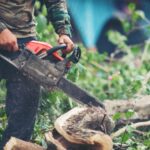 Inspecting fuel line on a Stihl chainsaw