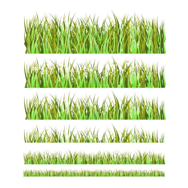 Best grass types for a healthy green home lawn